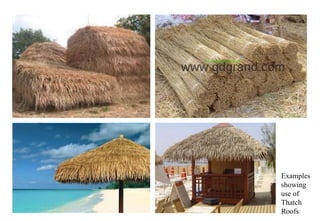 Examples
showing
use of
Thatch
Roofs
 