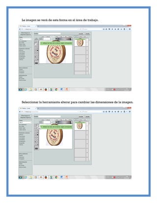 La imagen se verá de esta forma en el área de trabajo.
Seleccionar la herramienta alterar para cambiar las dimensiones de la imagen.
 