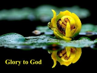 Glory to God 