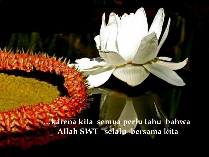 55+ Gambar Allah Selalu Bersama Kita 55+ Gambar Allah Selalu Bersama Kita