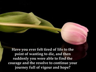 Have you ever felt tired of life to the
   point of wanting to die, and then
  suddenly you were able to find the
courage and the resolve to continue your
    journey full of vigour and hope?
 