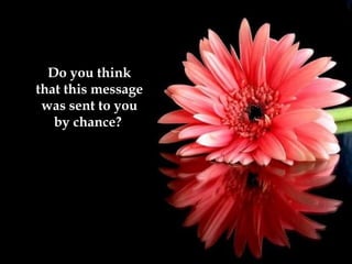 Do you think
that this message
was sent to you
by chance?
 