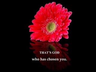 THAT’S GOD
who has chosen you.
 
 