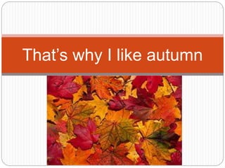 That’s why I like autumn
 