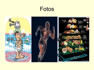 Fotos
 