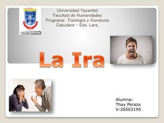 Universidad Yacambú
Facultad de Humanidades
Programa: Fisiología y Conducta
Cabudare – Edo. Lara.
Alumna:
Thay Peraza
V-26503195
 