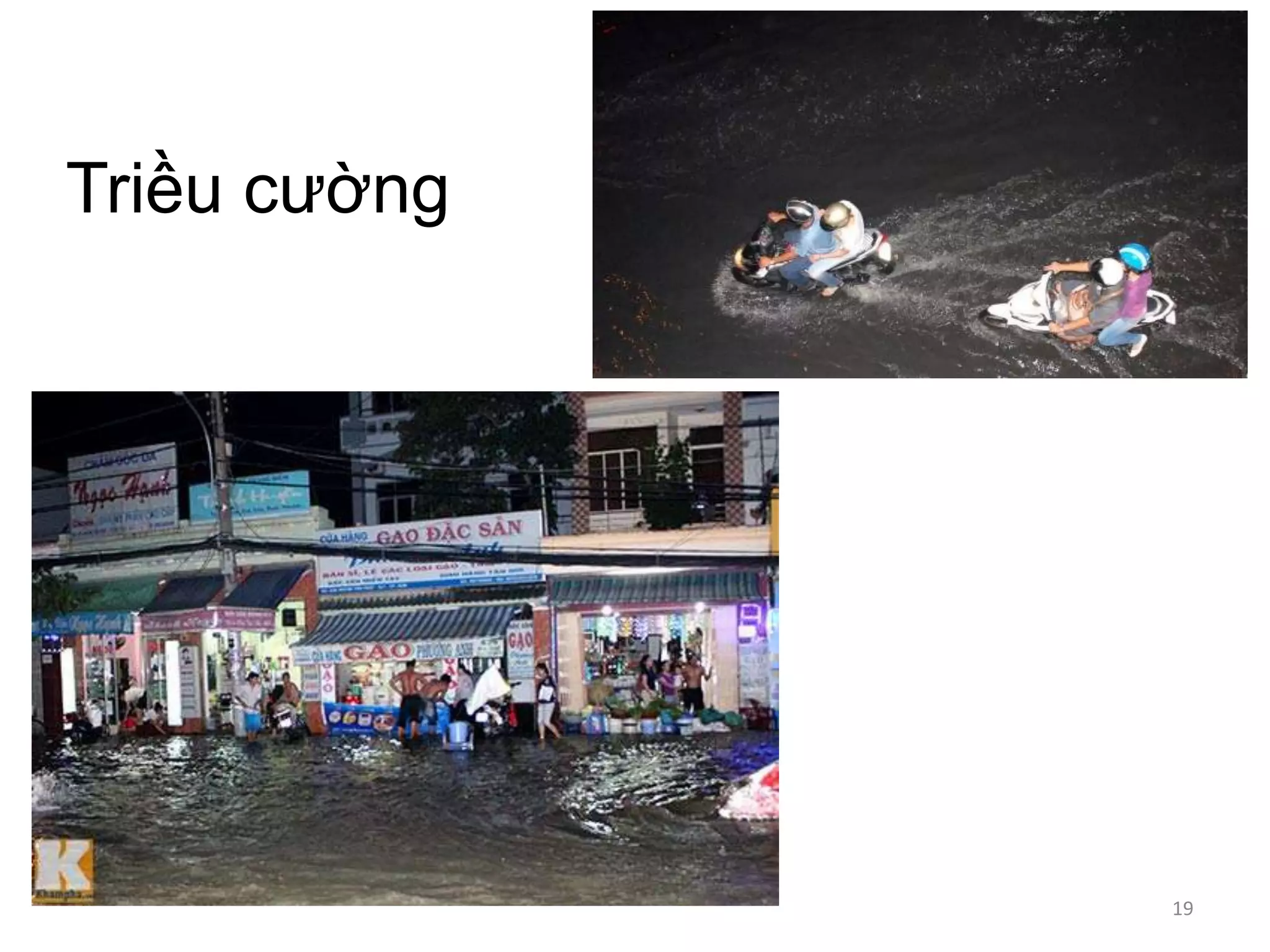 Triều cường

19

 