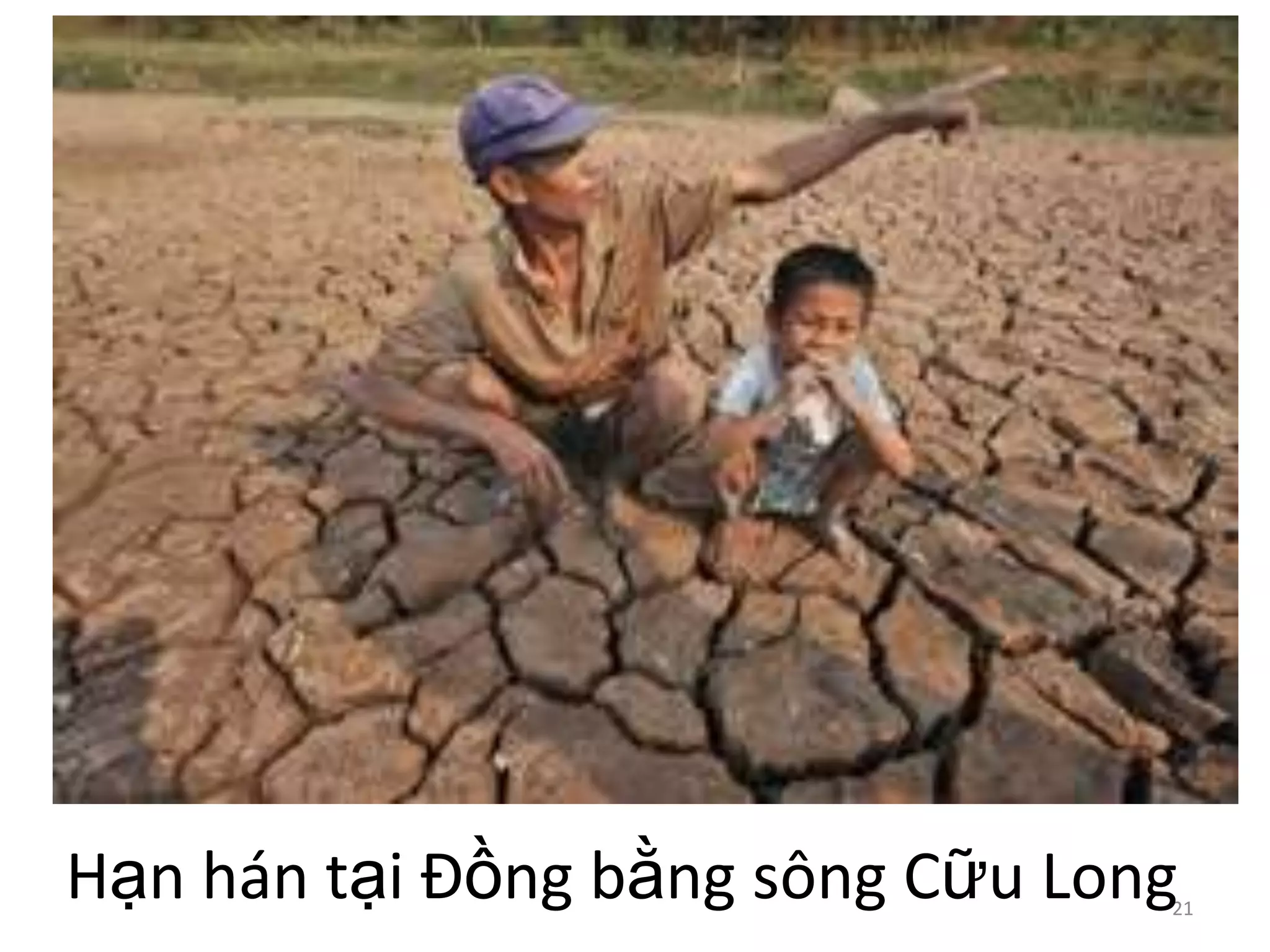 Hạn hán tại Đồng bằng sông Cữu Long

21

 