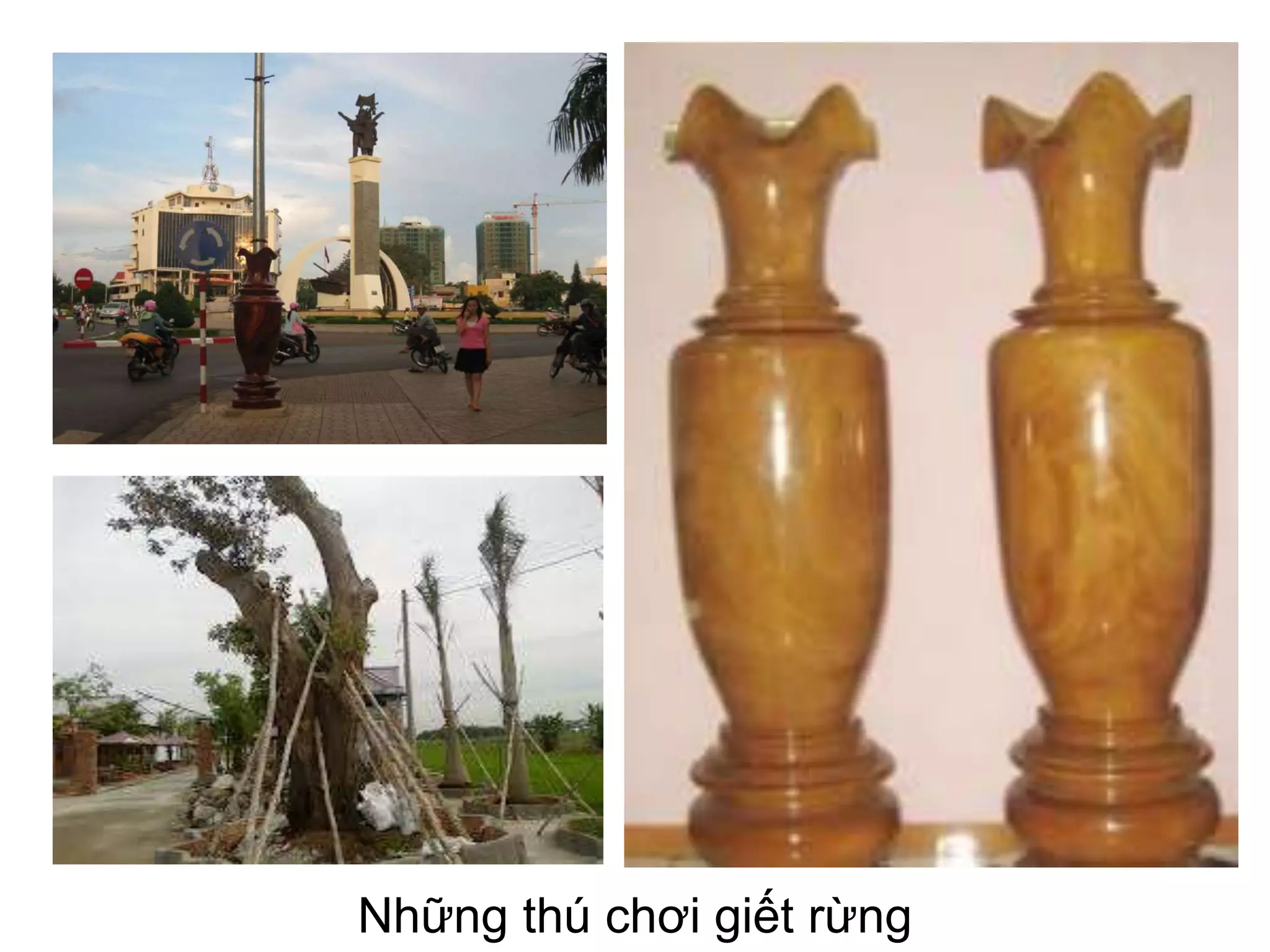 Những thú chơi giết rừng

 