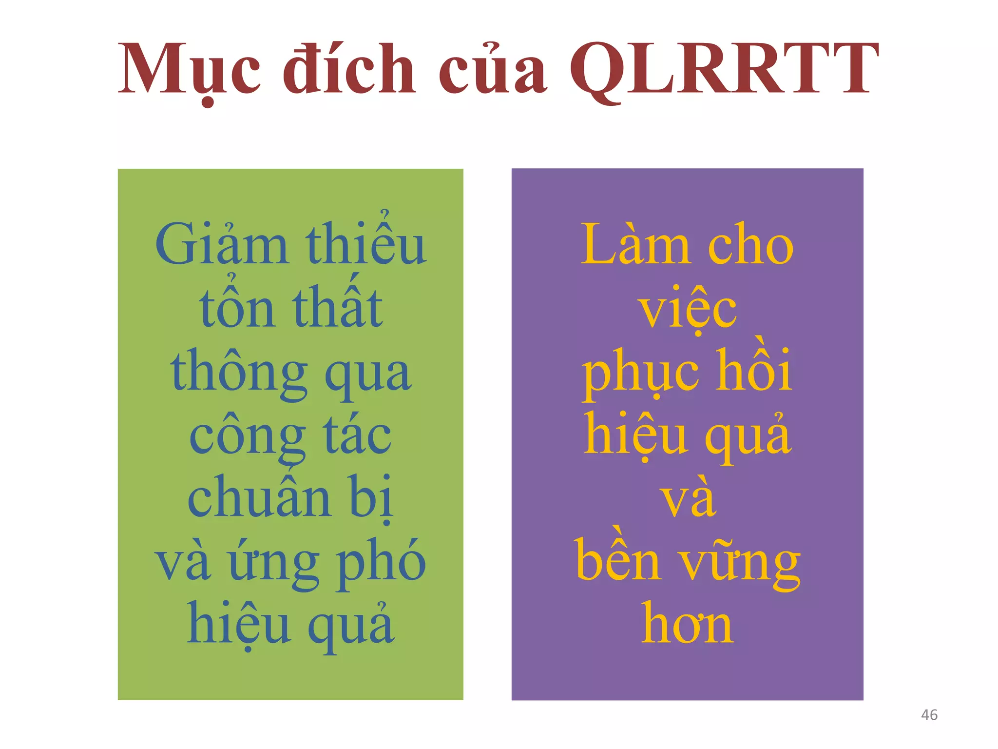 Mục đích của QLRRTT
Giảm thiểu
tổn thất
thông qua
công tác
chuẩn bị
và ứng phó
hiệu quả

Làm cho
việc
phục hồi
hiệu quả
và
bền vững
hơn
46

 