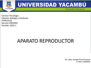 APARATO REPRODUCTOR
Br. Vilma Yamilet Pinto Pomonti
C.I.Nro. 8.892003
Carrera: Psicología
Cátedra: Biología y Conducta
(THB-0153)
Sección ED03D0V
Período: 2016-1
 