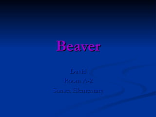 Beaver David Room A-2 Sunset Elementary 