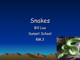 Snakes Bill Luu Sunset School RM.3 