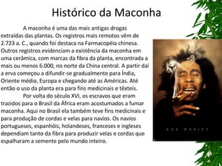Histórico da Maconha A maconha é uma das mais antigas drogas extraídas das plantas. Os registros mais remotos vêm de 2.723 a. C., quando foi destaca na Farmacopéia chinesa. Outros registros evidenciam a existência da maconha em uma cerâmica, com marcas da fibra da planta, encontrada a mais ou menos 6.000, no norte da China central. A partir daí a erva começou a difundir-se gradualmente para Índia, Oriente médio, Europa e chegando até as Américas. Até então o uso da planta era para fins medicinais e têxteis. Por volta do século XVI, os escravos que eram trazidos para o Brasil da África eram acostumados a fumar maconha. Aqui no Brasil ela também teve fins medicinais e para produção de cordas e velas para navios. Os navios portugueses, espanhóis, holandeses, franceses e ingleses dependiam tanto da fibra para produzir velas e cordas que espalharam a semente pelo mundo inteiro. 