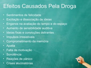 Efeitos Causados Pela Droga
• Sentimentos de felicidade
• Excitação e dissociação de ideias
• Enganos na avaliação do tempo e do espaço
• Aumento de sensibilidade auditiva
• Ideias fixas e convicções delirantes
• Impulsos irresistíveis
• Comprometimento da memória
• Apatia
• Falta de motivação
• Sonolência
• Reações de pânico
• Crises alucinatórias
 