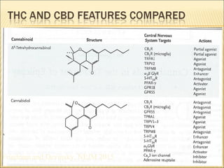 responsible cannabis awareness in biker culture
