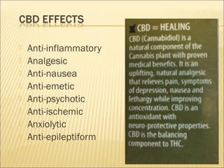 20
 Larger studies of CBD for seizures are needed.
 Although robust evidence for the effectiveness of CBD for seizures i...
