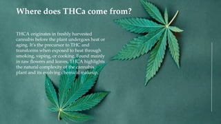 THCA originates in freshly harvested
cannabis before the plant undergoes heat or
aging. It’s the precursor to THC and
transforms when exposed to heat through
smoking, vaping, or cooking. Found mainly
in raw flowers and leaves, THCA highlights
the natural complexity of the cannabis
plant and its evolving chemical makeup.
Where does THCa come from?
 