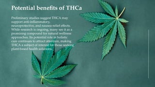 Preliminary studies suggest THCA may
support anti-inflammatory,
neuroprotective, and nausea-relief effects.
While research is ongoing, many see it as a
promising compound for natural wellness
approaches. Its potential role in holistic
care continues to attract attention, making
THCA a subject of interest for those seeking
plant-based health solutions.
Potential benefits of THCa
 