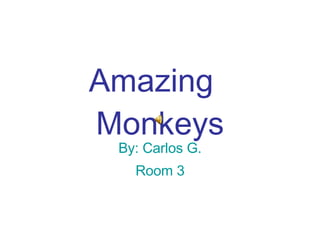 Amazing  Monkeys By: Carlos G. Room 3 