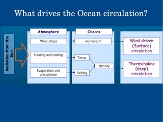 What drives the Ocean circulation?
 