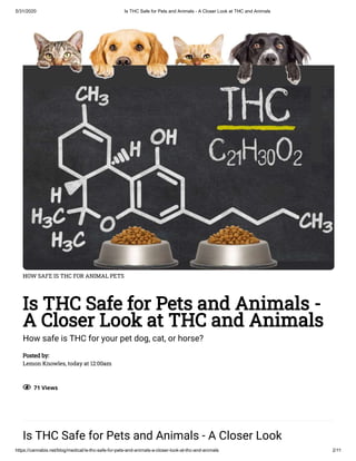 Is THC Safe for Pets and Animals - A Closer Look