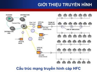 Cấu trúc mạng truyền hình cáp HFC
GIỚI THIỆU TRUYỀN HÌNH
 