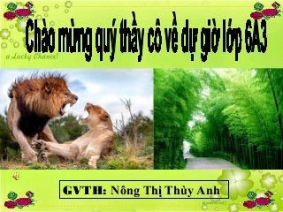 GVTH: Nông Thị Thùy AnhNông Thị Thùy Anh
 
