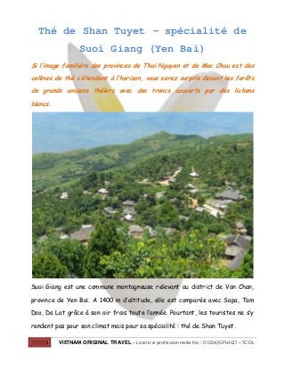Thé de Shan Tuyet – spécialité de
Suoi Giang (Yen Bai)
Si l’image familière des provinces de Thai Nguyen et de Moc Chau est des
collines de thé s’étendant à l’horizon, vous serez surpris devant les forêts
de grands anciens théiers avec des troncs couverts par des lichens
blancs.

Suoi Giang est une commune montagneuse relevant au district de Van Chan,
province de Yen Bai. A 1400 m d’altitude, elle est comparée avec Sapa, Tam
Dao, Da Lat grâce à son air frais toute l’année. Pourtant, les touristes ne s’y
rendent pas pour son climat mais pour sa spécialité : thé de Shan Tuyet.
1

VIETNAM ORIGINAL TRAVEL – Licence professionnelle No : 01024/GPLHQT – TCDL

 
