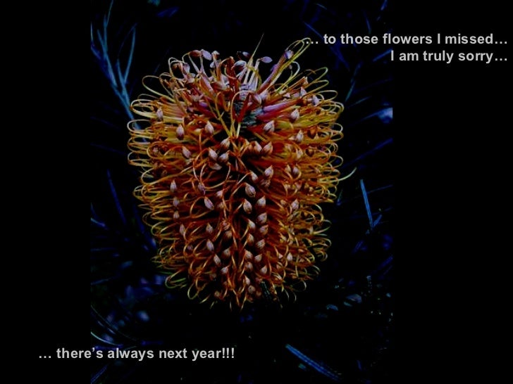 The 10 Most Amazing Flowers in the World