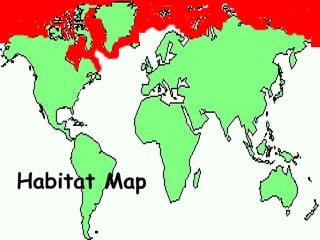 Habitat Map 