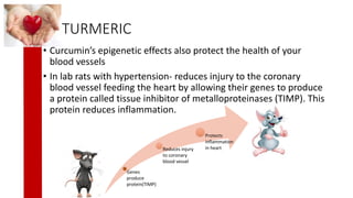 Lab Rats Tumeric Nutraceuticals for Cancer, Diabetes and Cardio vascular diseases and ...