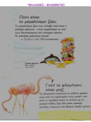 *ΦΑΛΑΙΝΕΣ - ΦΛΑΜΙΝΓΚΟ

 