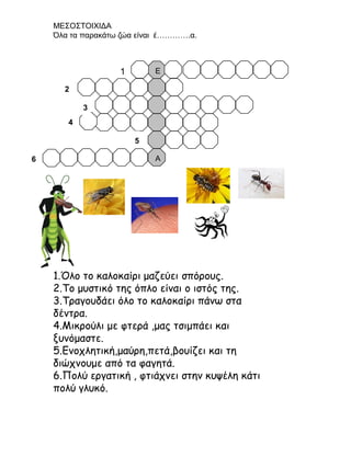 ΜΕΣΟΣΤΟΙΧΙΔΑ
Όλα τα παρακάτω ζώα είναι έ………….α.

Ε

1
2
3
4
5
6

Α

1.Όλο το καλοκαίρι μαζεύει σπόρους.
2.Το μυστικό της όπλο είναι ο ιστός της.
3.Τραγουδάει όλο το καλοκαίρι πάνω στα
δέντρα.
4.Μικρούλι με φτερά ,μας τσιμπάει και
ξυνόμαστε.
5.Ενοχλητική,μαύρη,πετά,βουίζει και τη
διώχνουμε από τα φαγητά.
6.Πολύ εργατική , φτιάχνει στην κυψέλη κάτι
πολύ γλυκό.

 