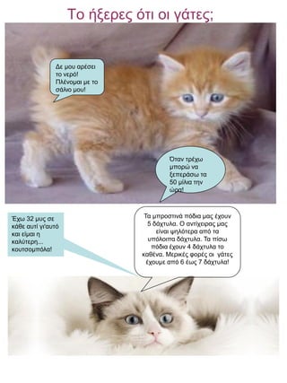 Το ήξερες ότι οι γάτες;

Δε μου αρέσει
το νερό!
Πλένομαι με το
σάλιο μου!

Όταν τρέχω
μπορώ να
ξεπεράσω τα
50 μίλια την
ώρα!

Έχω 32 μυς σε
κάθε αυτί γι'αυτό
και είμαι η
καλύτερη...
κουτσομπόλα!

Τα μπροστινά πόδια μας έχουν
5 δάχτυλα. Ο αντίχειρας μας
είναι ψηλότερα από τα
υπόλοιπα δάχτυλα. Τα πίσω
πόδια έχουν 4 δάχτυλα το
καθένα. Μερικές φορές οι γάτες
έχουμε από 6 έως 7 δάχτυλα!

 