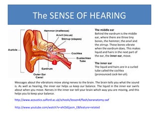 The SENSE OF HEARING
The middle ear
Behind the eardrum is the middle
ear, where there are three tiny
bones, the hammer, the anvil and
the stirrup. These bones vibrate
when the eardrum does. This makes
liquid and hairs in the next part of
the ear, the inner ear, move.
The inner ear
The liquid and hairs are in a curled
tube called the cochlea
(pronounced cock-lee-uh).
Messages about the vibrations move along nerves to the brain. The brain tells you what the sound
is. As well as hearing, the inner ear helps us keep our balance. The liquid in the inner ear swirls
about when you move. Nerves in the inner ear tell your brain which way you are moving, and this
helps you to keep your balance.
http://www.acoustics.salford.ac.uk/schools/lesson4/flash/earanatomy.swf
http://www.youtube.com/watch?v=ahCbGjasm_E&feature=related

 