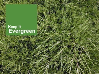 91
Evergreen
Keep it
 