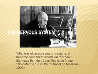 “Mientras el cerebro sea un misterio, el
Universo continuará siendo un misterio.”
(Santiago Ramón y Cajal, Petilla de Aragón
1852-Madrid,1934. Premi Nobel de Medicina
1906)

 