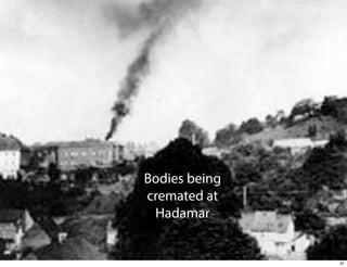 Bodies being
cremated at
Hadamar

31

 
