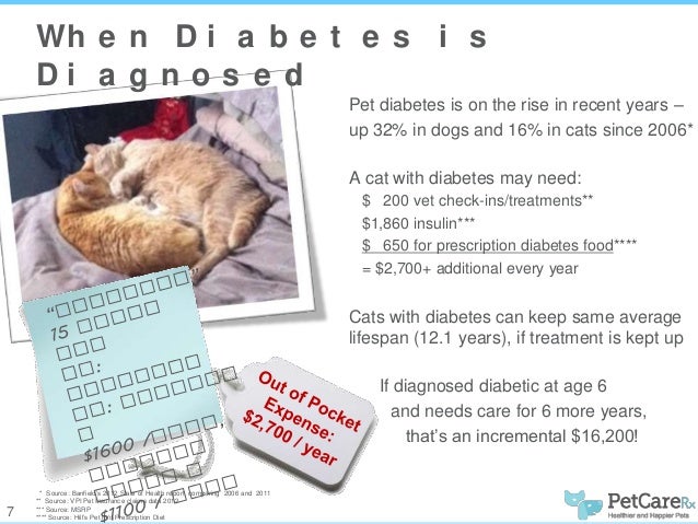 Cost Of Chlorambucil For Cats