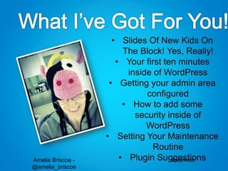 Amelia Briscoe -
@amelia_briscoe
#wpmelb
• Slides Of New Kids On
The Block! Yes, Really!
• Your first ten minutes
inside of WordPress
• Getting your admin area
configured
• How to add some
security inside of
WordPress
• Setting Your Maintenance
Routine
• Plugin Suggestions
 