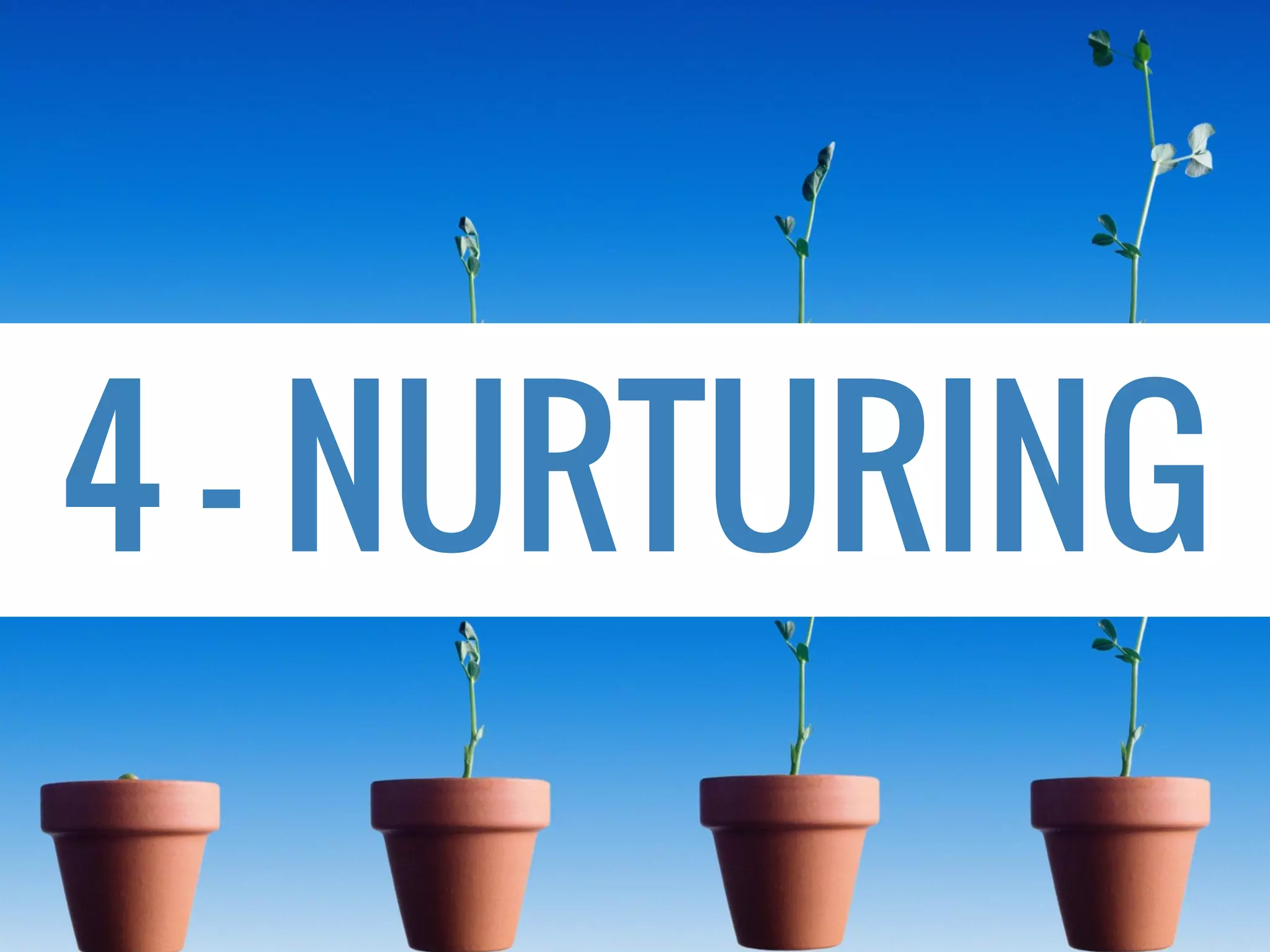 1. Clear activities
2. Clear goals
3. Clear schedule
 