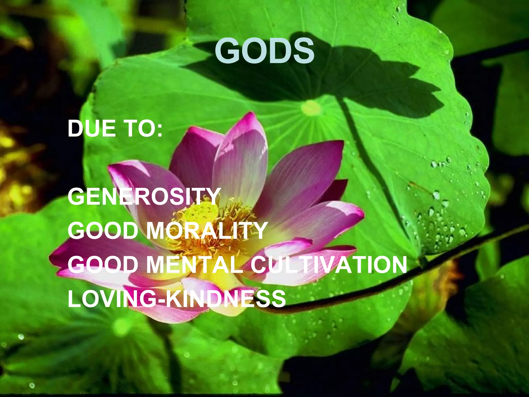 GODS DUE TO: GENEROSITY GOOD MORALITY GOOD MENTAL CULTIVATION LOVING-KINDNESS