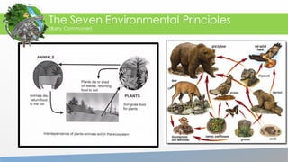 The Seven Environmental Principles
(Barry Commoner)
 