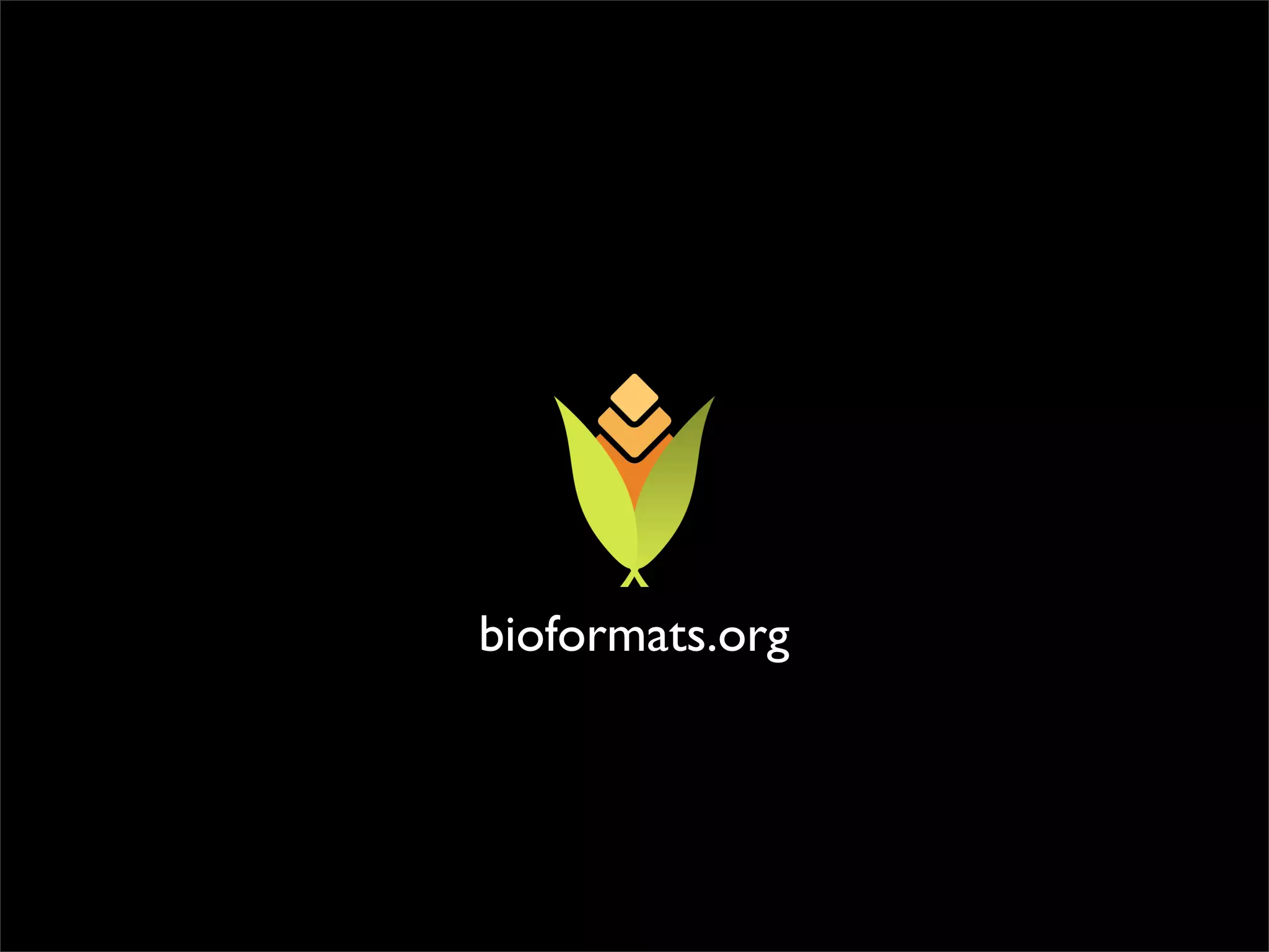 The A to Z of developing for the web