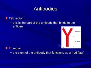AntibodiesAntibodies
Fab regionFab region
– this is the part of the antibody that binds to thethis is the part of the antibody that binds to the
antigenantigen
Fc regionFc region
– the stem of the antibody that functions as a “red flag”the stem of the antibody that functions as a “red flag”
 