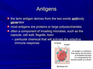 AntigensAntigens
the term antigen derives from the two wordsthe term antigen derives from the two words antiantibodybody
genegeneratorrator
most antigens are proteins or large polysaccharidesmost antigens are proteins or large polysaccharides
often a component of invading microbes, such as theoften a component of invading microbes, such as the
capsule, cell wall, flagella, toxincapsule, cell wall, flagella, toxin
– particular chemical that will activate the adaptiveparticular chemical that will activate the adaptive
immune responseimmune response
 