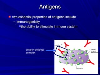 AntigensAntigens
two essential properties of antigens includetwo essential properties of antigens include
– immunogenicityimmunogenicity
the ability to stimulate immune systemthe ability to stimulate immune system
antigen-antibody
complex
 