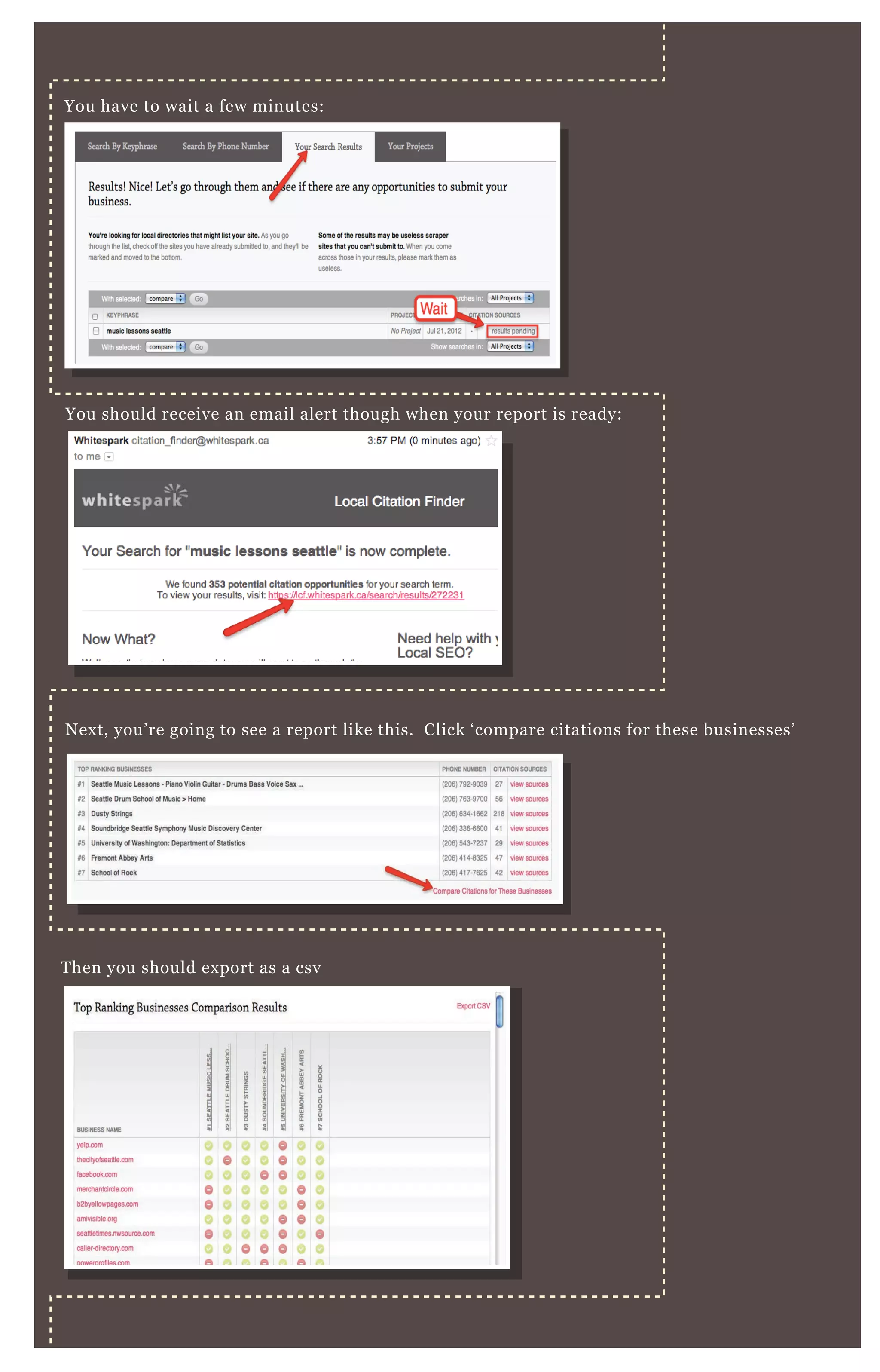 You have to wait a few minutes:
You should receive an email alert though when your report is ready:
Next, you’re going to see a report like this. Click ‘compare citations for these businesses’
Then you should export as a csv
You can open up and save as an Excel file — and we’re going to customize it
a little so you can easily see WHO has the most citations.
 