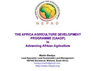 The Africa Agriculture Development Programme (CAADP) in Advancing Africa Agriculture